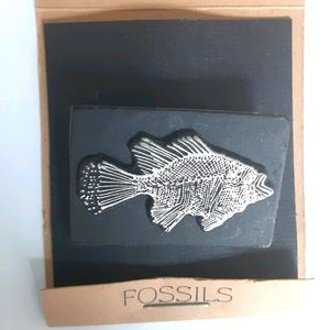 Ocean perch fish fossil pin, NEW